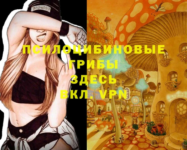 марки nbome Корсаков