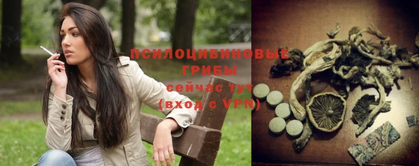 2c-b Костерёво