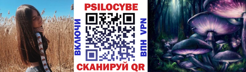 Купить  Бикин  Галлюциногенные грибы Psilocybine cubensis 